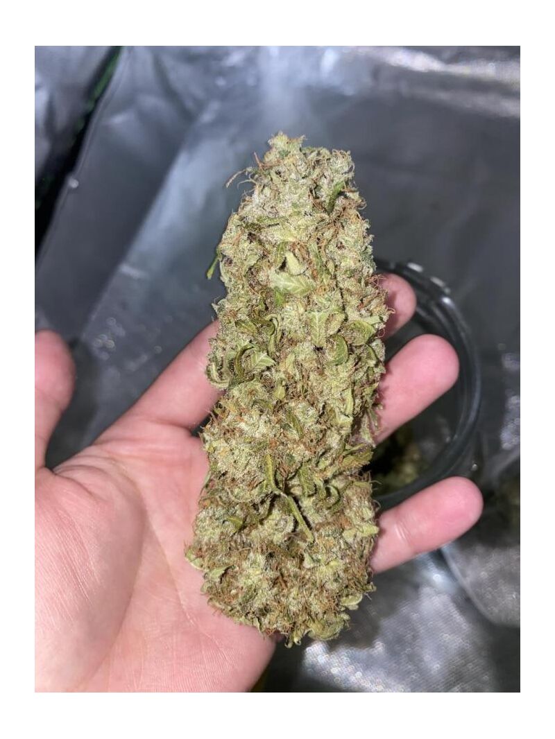 Portela, Фасовка: 3+3, изображение 6